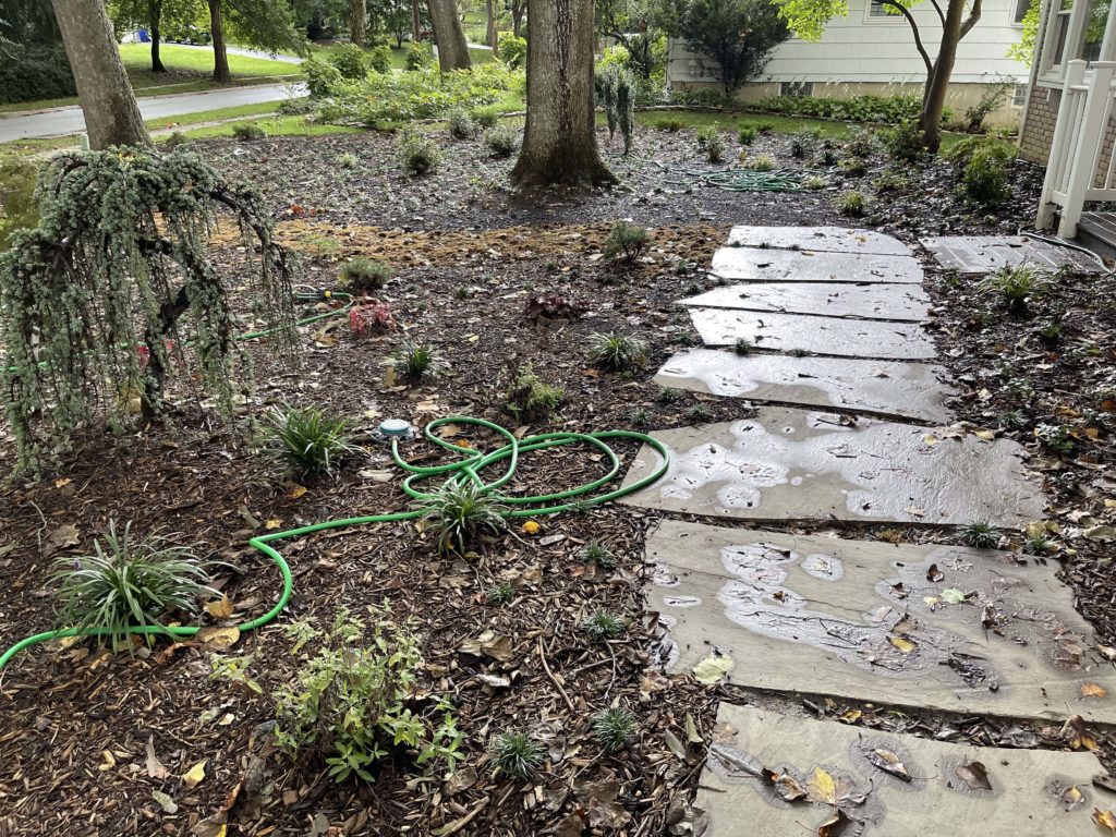 Columbia Front Yard Turf Elimination & Design