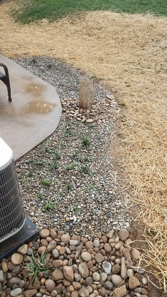 Washington, DC Riverbed & Rain Garden