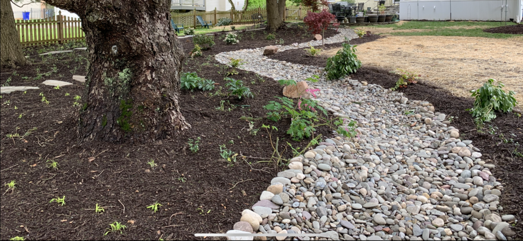 Columbia Riverbed & Design