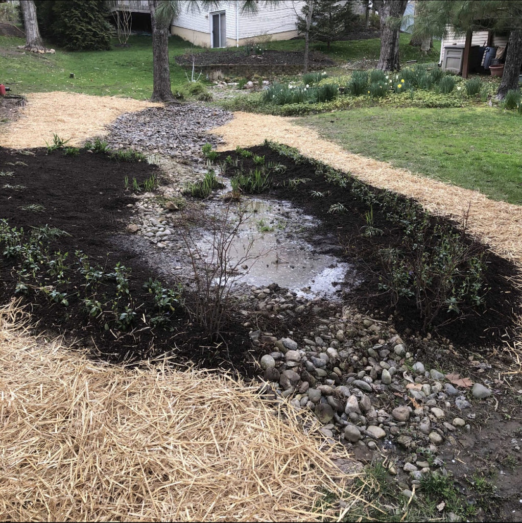 Columbia Bog & Riverbed
