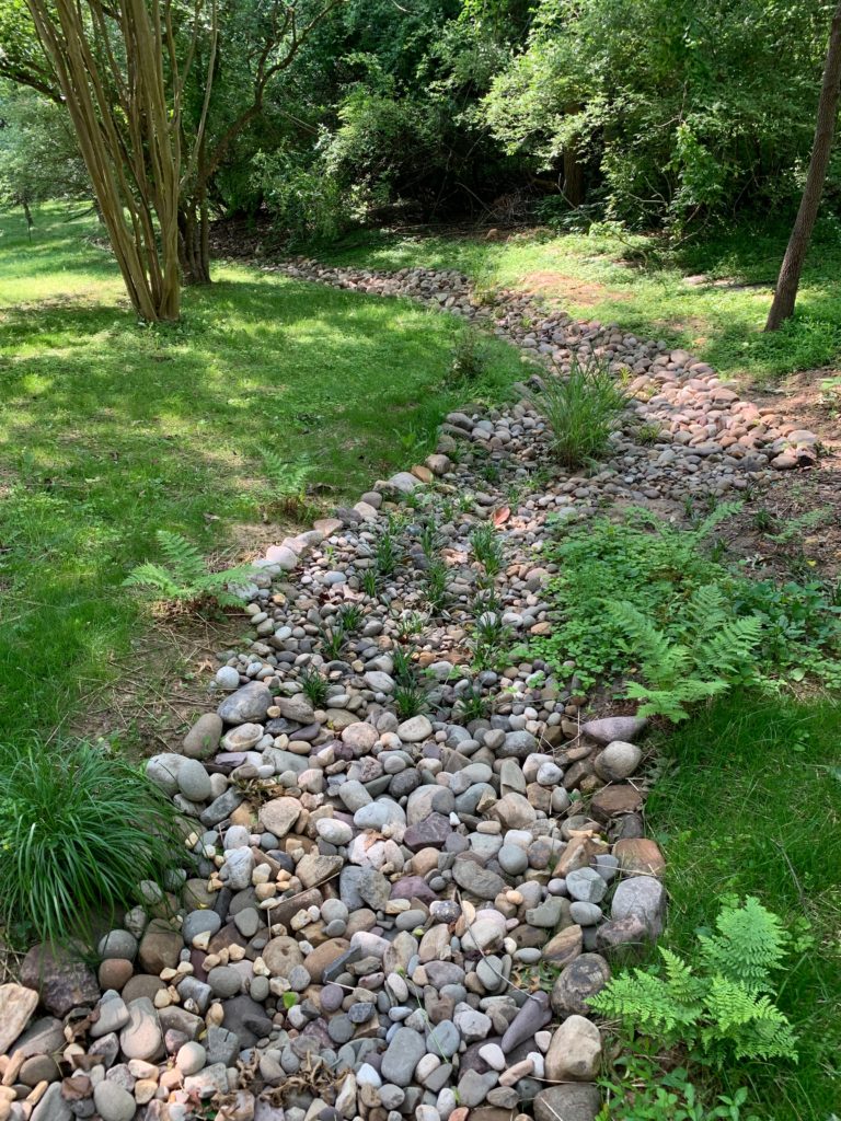 Columbia Riverbed & Rain Garden