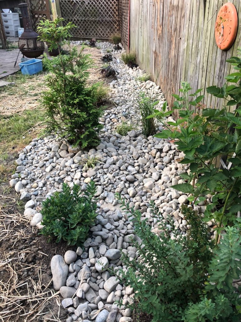Arbutus Rain Garden & Riverbed: